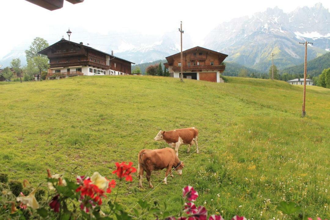 Pension Sunnberg Going am Wilden Kaiser Ngoại thất bức ảnh